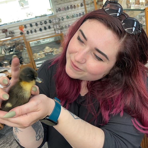 Meet your Posher, Katie - Picture 3 of 6